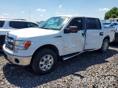 2013 FORD F150 SUPERCREW 1FTFW1ET4DFC71745 - główne zdjęcie licytacji z USA - miniatura