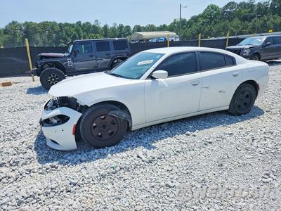 2017 DODGE CHARGER POLICE 2C3CDXAG9HH515158 - główne zdjęcie licytacji z USA - miniatura