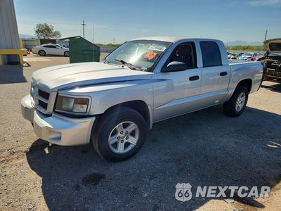 2011 DODGE DAKOTA SLT 1D7RE3GK8BS648877 - główne zdjęcie licytacji z USA - miniatura