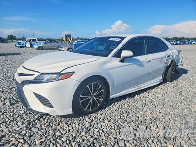 2019 TOYOTA CAMRY SE 4T1B11HK4KU746847 - główne zdjęcie licytacji z USA - miniatura