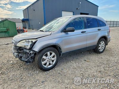 2008 HONDA CR-V EX JHLRE48558C014747 - główne zdjęcie licytacji z USA - miniatura