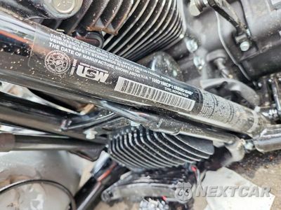 Zdjęcie 8 z 8 samochodu: 2024 HARLEY-DAVIDSON FLRT VIN:1HD1MCP11RB851846 - miniatura