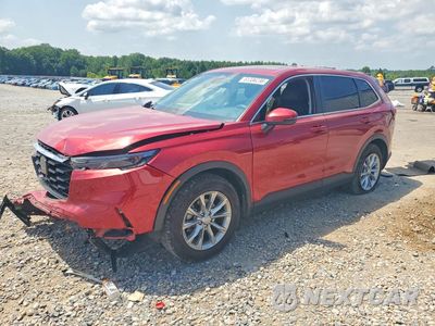 2024 HONDA CR-V EXL 2HKRS3H74RH329269 - główne zdjęcie licytacji z USA - miniatura