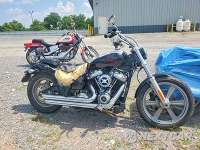 2023 HARLEY-DAVIDSON FXST 1HD1BVJ2XPB016232 - główne zdjęcie licytacji z USA - miniatura