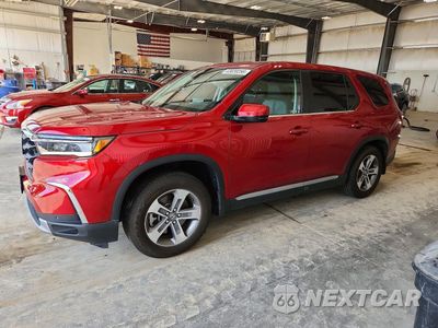 2024 HONDA PILOT EXL 5FNYG1H56RB021146 - główne zdjęcie licytacji z USA - miniatura
