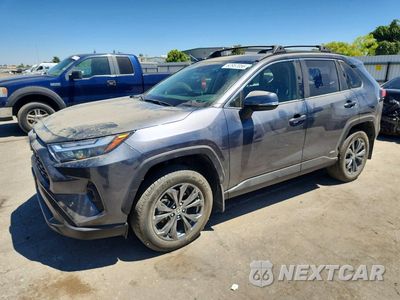 2024 TOYOTA RAV4 XLE PREMIUM JTMB6RFV4RD147488 - główne zdjęcie licytacji z USA - miniatura