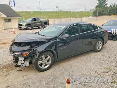 2025 CHEVROLET MALIBU LS 1G1ZB5STXSF103196 - główne zdjęcie licytacji z USA - miniatura