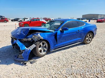 2017 FORD MUSTANG 1FA6P8AM2H5264590 - główne zdjęcie licytacji z USA - miniatura