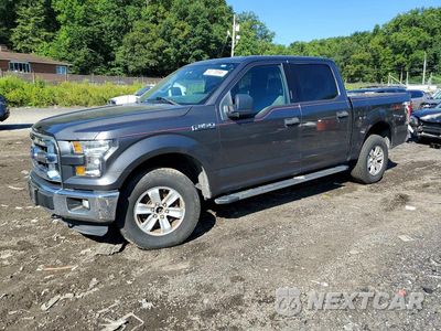 2015 FORD F150 SUPERCREW 1FTEW1EF8FFA40453 - główne zdjęcie licytacji z USA - miniatura