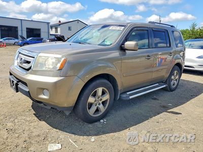 2011 HONDA PILOT EXL 5FNYF4H6XBB104338 - główne zdjęcie licytacji z USA - miniatura