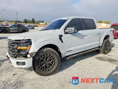 2024 FORD F150 XLT 1FTFW3LD9RFA49748 - główne zdjęcie licytacji z USA - miniatura