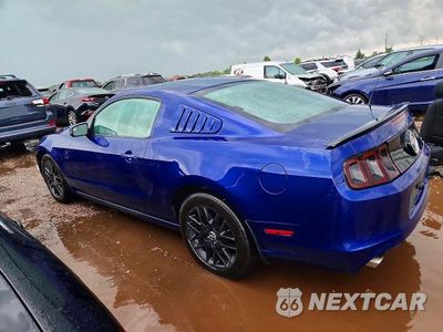 Drugie zdjęcie samochodu z przodu: 2013 FORD MUSTANG VIN:1ZVBP8AMXE5334497 - miniatura