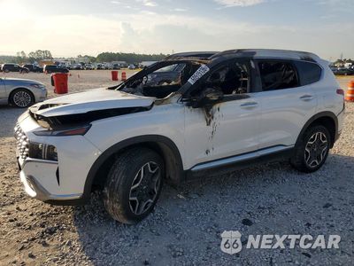 2023 HYUNDAI SANTA FE LIMITED 5NMS4DAL3PH536433 - główne zdjęcie licytacji z USA - miniatura