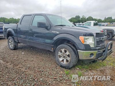 Czwarte zdjęcie samochodu z boku: 2013 FORD F150 SUPERCREW VIN:1FTFW1EF1DFA31773 - miniatura