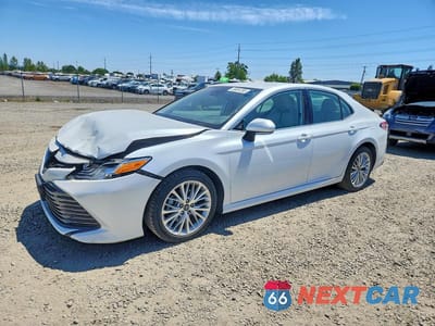 2019 TOYOTA CAMRY XLE 4T1B11HK8KU684191 - główne zdjęcie licytacji z USA - miniatura