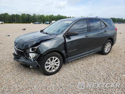 2019 CHEVROLET EQUINOX LS 3GNAXHEV1KS665964 - główne zdjęcie licytacji z USA - miniatura