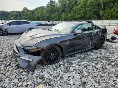 2019 FORD MUSTANG GT 1FA6P8CF5K5199661 - główne zdjęcie licytacji z USA - miniatura