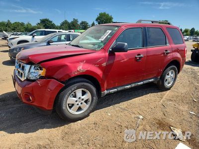 2010 FORD ESCAPE XLT 1FMCU9DG7AKC63987 - główne zdjęcie licytacji z USA - miniatura
