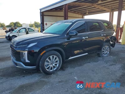 2025 HYUNDAI PALISADE SEL KM8R24GE3SU879494 - główne zdjęcie licytacji z USA - miniatura