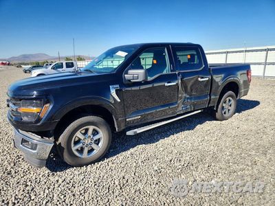 2024 FORD F150 XLT 1FTFW3LD4RFA25308 - główne zdjęcie licytacji z USA - miniatura