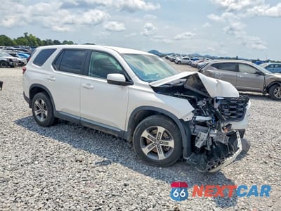 Czwarte zdjęcie samochodu z boku: 2024 HONDA PILOT EXL VIN:5FNYG1H48RB033449 - miniatura