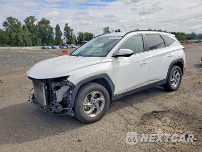 2024 HYUNDAI TUCSON SEL 5NMJBCDE0RH384526 - główne zdjęcie licytacji z USA - miniatura