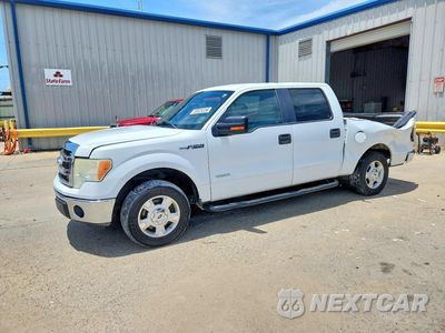 2014 FORD F150 SUPERCREW 1FTFW1CT0EFA35937 - główne zdjęcie licytacji z USA - miniatura