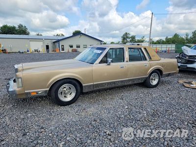 1989 LINCOLN TOWN CAR SIGNATURE 1LNBM82F8KY699780 - główne zdjęcie licytacji z USA - miniatura