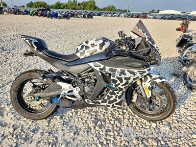 2024 CF MOTO 450SS LCEPESLA1R6011292 - główne zdjęcie licytacji z USA - miniatura