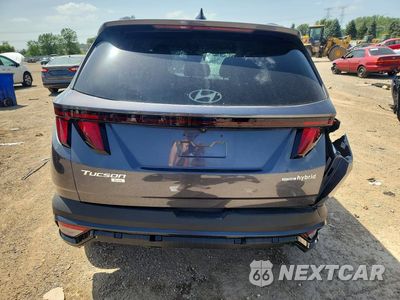 Zdjęcie 6 z 13 samochodu: 2025 HYUNDAI TUCSON BLUE VIN:KM8JBDD11SU290457 - miniatura