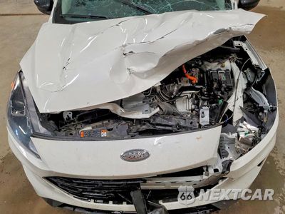 Zdjęcie 12 z 14 samochodu: 2022 FORD ESCAPE SE VIN:1FMCU0BZ4NUB06900 - miniatura