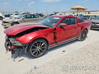 2010 FORD MUSTANG 1ZVBP8AN8A5101754 - główne zdjęcie licytacji z USA - miniatura