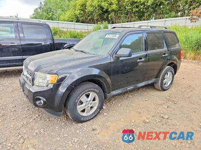 2011 FORD ESCAPE XLT 1FMCU0DG7BKB27176 - główne zdjęcie licytacji z USA - miniatura