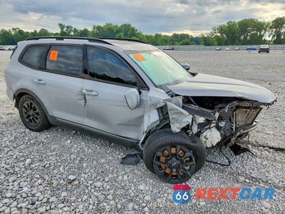 Czwarte zdjęcie samochodu z boku: 2023 KIA TELLURIDE SX-PRESTIGE X-PRO VIN:5XYP5DGC2PG371401 - miniatura