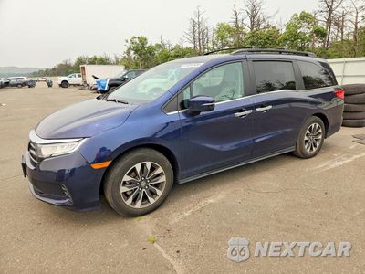 2024 HONDA ODYSSEY EXL 5FNRL6H62RB058362 - główne zdjęcie licytacji z USA - miniatura