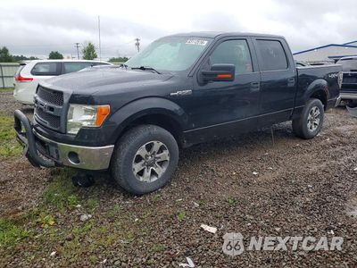 2013 FORD F150 SUPERCREW 1FTFW1EF1DFA31773 - główne zdjęcie licytacji z USA - miniatura
