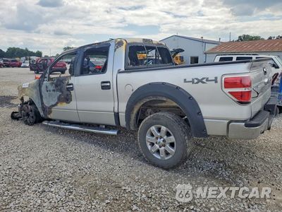 Drugie zdjęcie samochodu z przodu: 2013 FORD F150 SUPERCREW VIN:1FTFW1ET8DFA88204 - miniatura