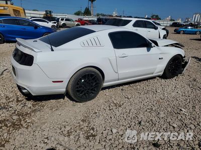 Trzecie zdjęcie samochodu z tyłu: 2014 FORD MUSTANG GT VIN:1ZVBP8CF9E5255711 - miniatura