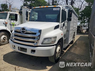 2020 HINO 338 BOX TRUCK 5PVNV8JV5L4S59841 - główne zdjęcie licytacji z USA - miniatura