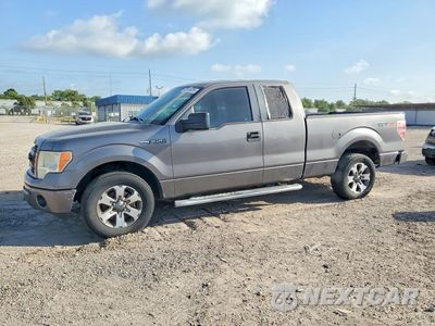 2013 FORD F150 SUPER CAB 1FTFX1CF1DFC79425 - główne zdjęcie licytacji z USA - miniatura