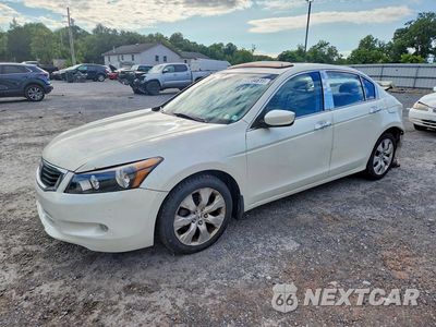 2008 HONDA ACCORD EXL 1HGCP36808A032543 - główne zdjęcie licytacji z USA - miniatura