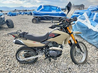 2016 BASHAN BASHAN MOTORCYCLE LHJPCNBF7GB500546 - główne zdjęcie licytacji z USA - miniatura