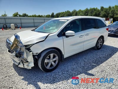 2019 HONDA ODYSSEY EXL 5FNRL6H73KB115165 - główne zdjęcie licytacji z USA - miniatura