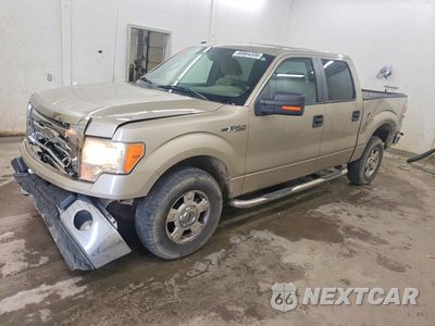 2009 FORD F150 SUPERCREW 1FTRW12889FA05858 - główne zdjęcie licytacji z USA - miniatura