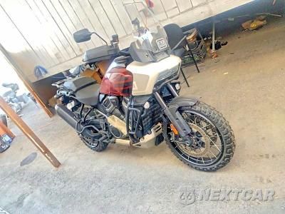 2024 HARLEY-DAVIDSON RA1250 S 1HD1ZES17RB309672 - główne zdjęcie licytacji z USA - miniatura