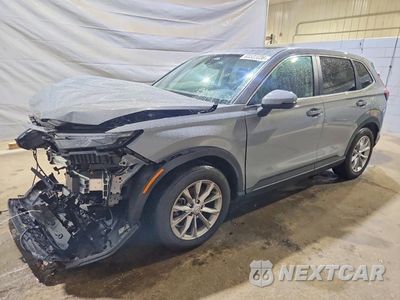 2024 HONDA CR-V EXL 2HKRS4H75RH425661 - główne zdjęcie licytacji z USA - miniatura