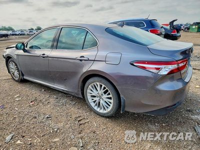 Drugie zdjęcie samochodu z przodu: 2020 TOYOTA CAMRY XLE VIN:4T1F11AK8LU883304 - miniatura