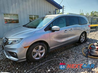 2019 HONDA ODYSSEY EXL 5FNRL6H78KB116764 - główne zdjęcie licytacji z USA - miniatura