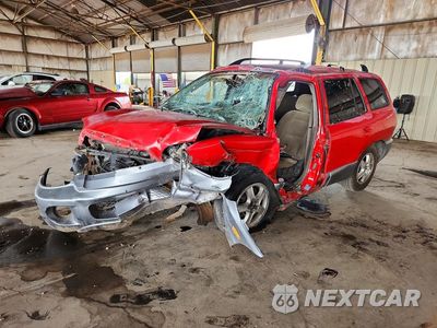 2004 HYUNDAI SANTA FE GLS KM8SC13D94U855164 - główne zdjęcie licytacji z USA - miniatura