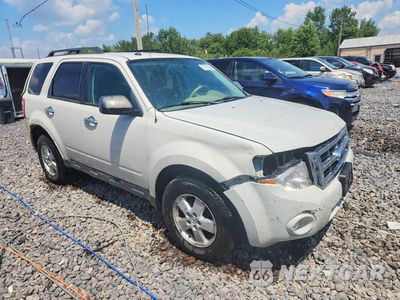 Czwarte zdjęcie samochodu z boku: 2010 FORD ESCAPE XLT VIN:1FMCU9D72AKB94741 - miniatura